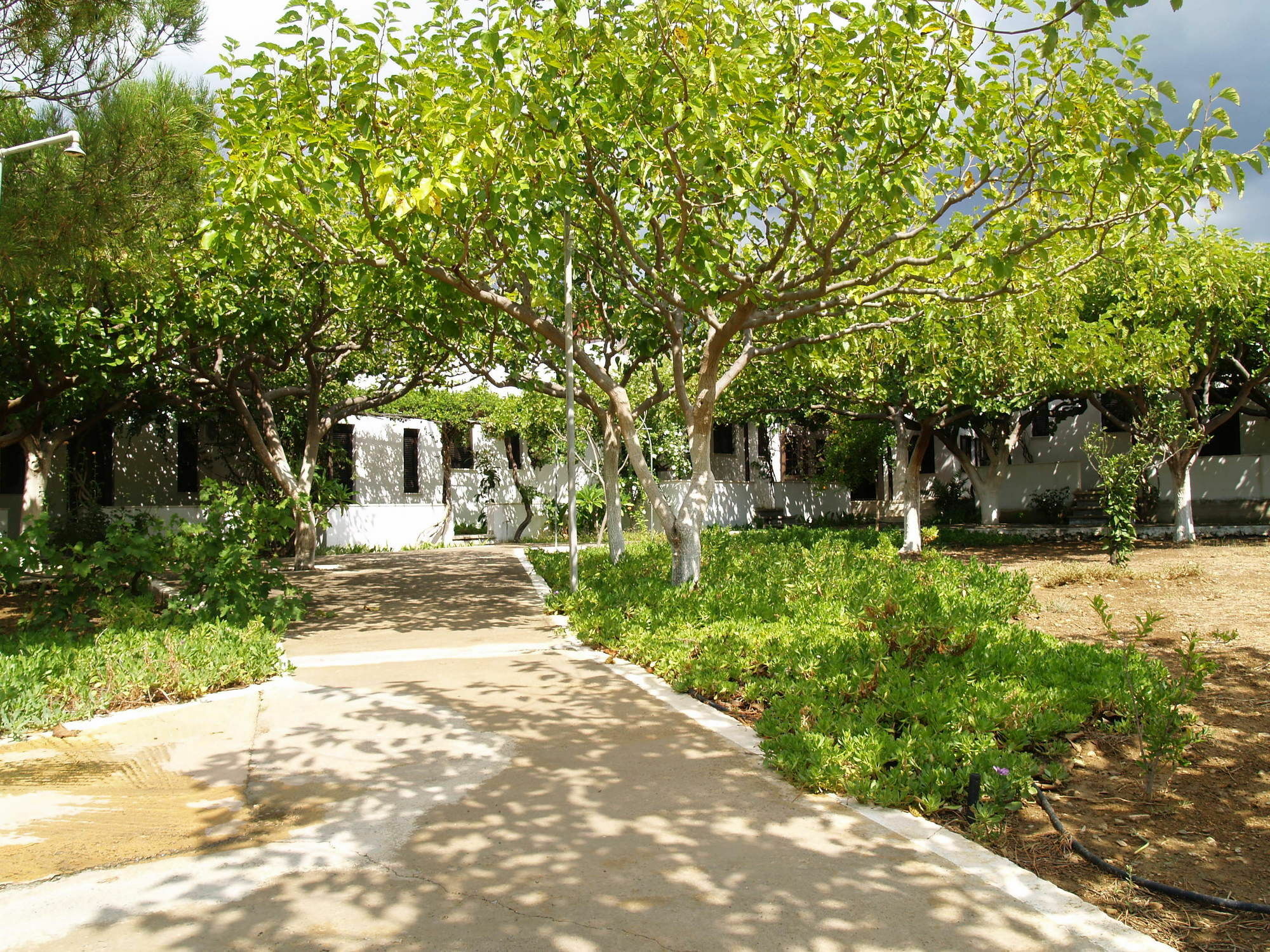 Dolphin Apartments Frangocastelo Екстер'єр фото